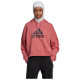 Adidas Γυναικείο φούτερ Future Icons Badge of sport